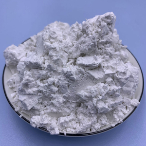 Rubber/Plastic/Paper /Feed Used 150/200/325 Mesh Diaotmite Powder Diatomaceous Earth Powder