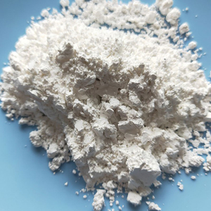 Diatomaceous Earth Diatomite Powder