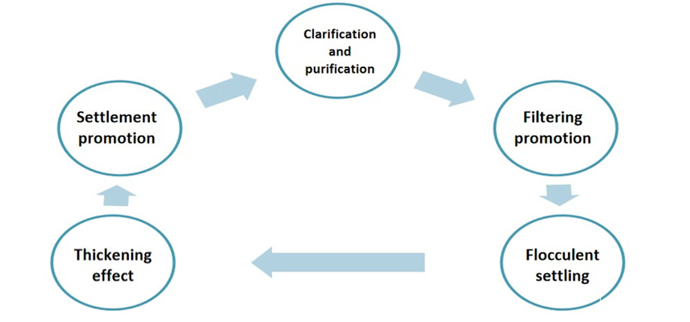 Characteristics-of-Anionic-Polyacrylamide