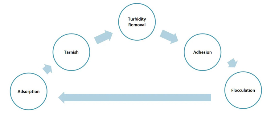 Characteristics of Cationic Amides